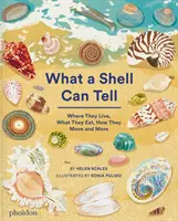Co dokáže vyprávět mušle - What A Shell Can Tell