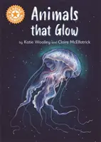Čtenářský šampion: Zvířata, která svítí - samostatné čtení Oranžová 6 Literatura faktu - Reading Champion: Animals that Glow - Independent Reading Orange 6 Non-fiction