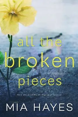 Všechny rozbité kousky - All The Broken Pieces