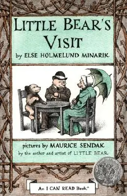 Malý medvěd na návštěvě - Little Bear's Visit