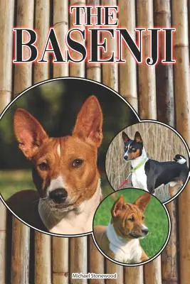 Basenji: Kompletní a vyčerpávající průvodce pro začátečníky: Koupě, vlastnictví, zdraví, péče, výcvik, poslušnost, porozumění - The Basenji: A Complete and Comprehensive Beginners Guide To: Buying, Owning, Health, Grooming, Training, Obedience, Understanding