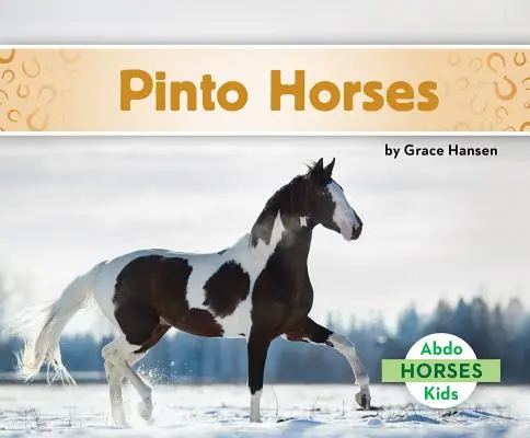 Koně pinto - Pinto Horses