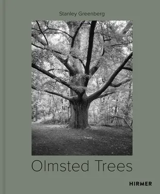 Olmstedovy stromy: Stanley Greenberg - Olmsted Trees: Stanley Greenberg