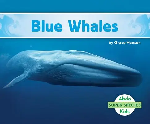 Modré velryby - Blue Whales