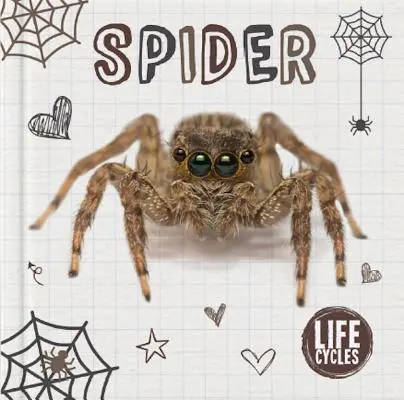Pavouk - Spider
