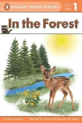 V lese - In the Forest