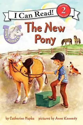Nový poník - The New Pony