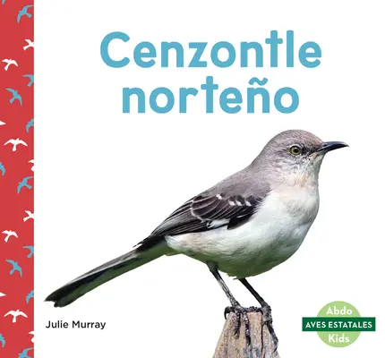 Cenzontle Norteo (Severní drozdi) - Cenzontle Norteo (Northern Mockingbirds)