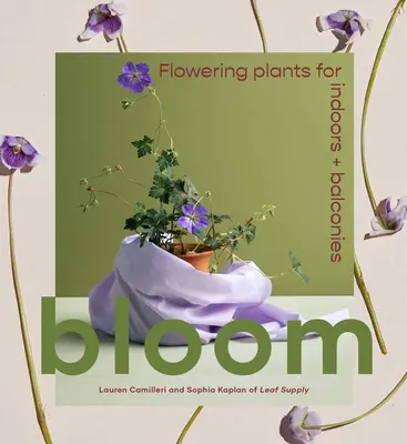 Rozkvět: Květinové rostliny pro interiéry a balkony - Bloom: Flowering Plants for Indoors and Balconies