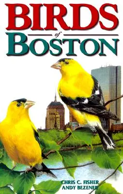 Ptáci Bostonu - Birds of Boston