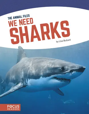 Potřebujeme žraloky - We Need Sharks