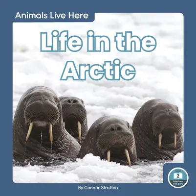Život v Arktidě - Life in the Arctic