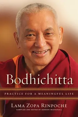 Bódhičitta: Cvičení pro smysluplný život - Bodhichitta: Practice for a Meaningful Life