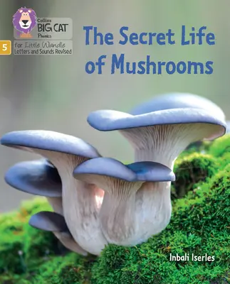 Tajný život hub - 5. fáze 4. sada Napínání a výzvy - Secret Life of Mushrooms - Phase 5 Set 4 Stretch and Challenge