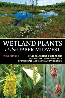 Mokřadní rostliny horního středozápadu - Wetland Plants of the Upper Midwest