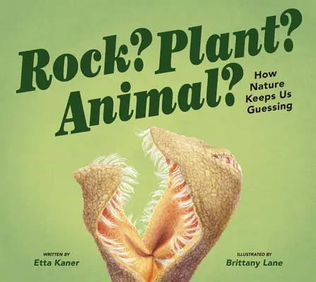 Skála? Rostliny? Zvíře?: Jak nás příroda nutí hádat? - Rock? Plant? Animal?: How Nature Keeps Us Guessing