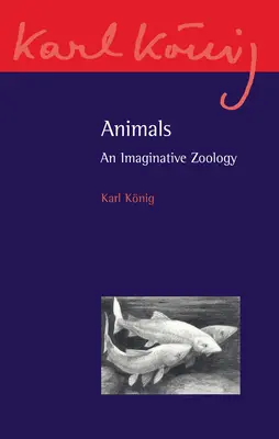 Zvířata: An Imaginative Zoology - Animals: An Imaginative Zoology