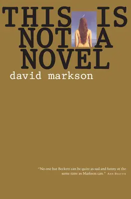 Tohle není román - This Is Not a Novel