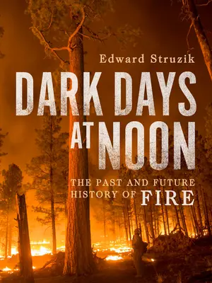 Temné dny v poledne: Budoucnost ohně - Dark Days at Noon: The Future of Fire