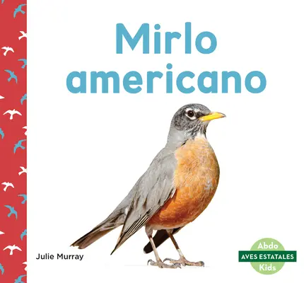 Mirlo Americano (američtí rorýsi) - Mirlo Americano (American Robins)