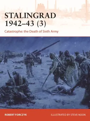 Stalingrad 1942-43 (3): Katastrofa: Smrt 6. armády - Stalingrad 1942-43 (3): Catastrophe: The Death of 6th Army