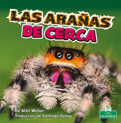 Las Araas de Cerca (Pavouci zblízka) - Las Araas de Cerca (Spiders Up Close)