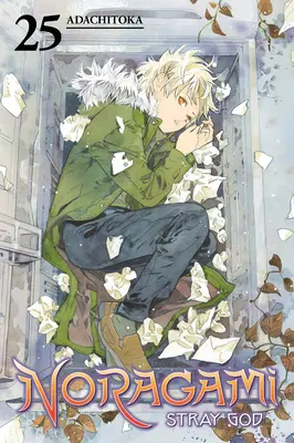 Noragami: Bludný bůh 25 - Noragami: Stray God 25