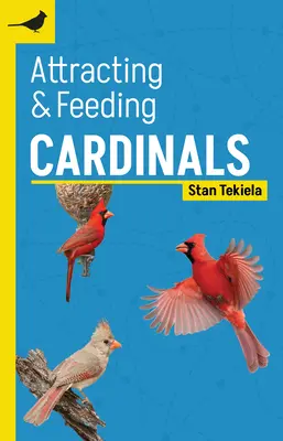 Vábení a krmení kardinálů - Attracting & Feeding Cardinals