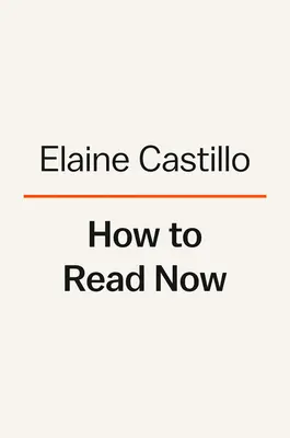 Jak číst teď: Eseje - How to Read Now: Essays