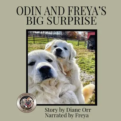 Velké překvapení Odina a Freyi: A de Good Life Farm book - Odin and Freya's Big Surprise: A de Good Life Farm book