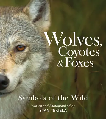Vlci, kojoti a lišky: Symboly divočiny - Wolves, Coyotes & Foxes: Symbols of the Wild