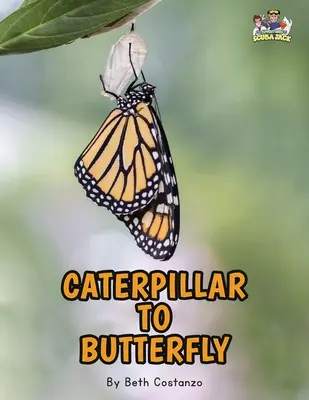 Písmeno C - od housenky po motýla pro děti 3-8 let - Letter C - Caterpillar to Butterfly for Kids 3-8