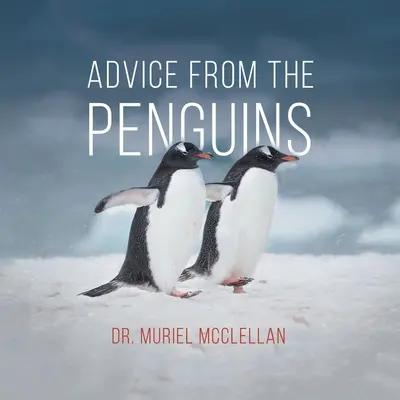 Rady tučňáků - Advice from the Penguins
