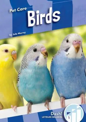 Ptáci - Birds
