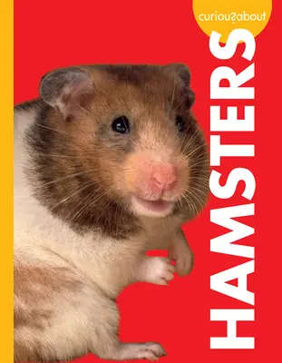 Zvědavost o křečcích - Curious about Hamsters