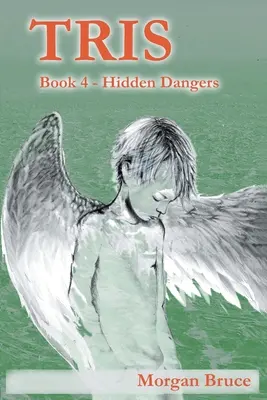 Tris 4: Skrytá nebezpečí - Tris 4: Hidden Dangers