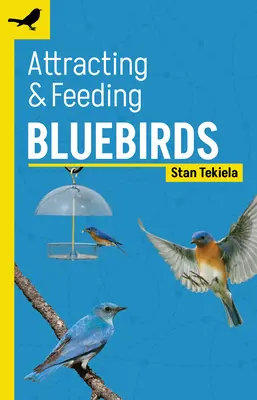 Lákání a krmení modrých ptáků - Attracting & Feeding Bluebirds