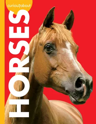 Zvědaví na koně - Curious about Horses