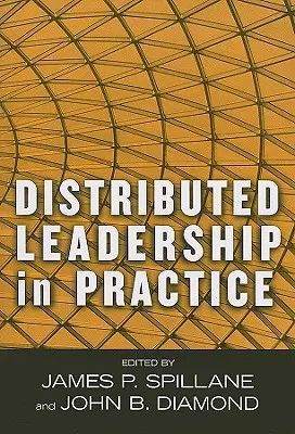 Distribuované vedení v praxi - Distributed Leadership in Practice