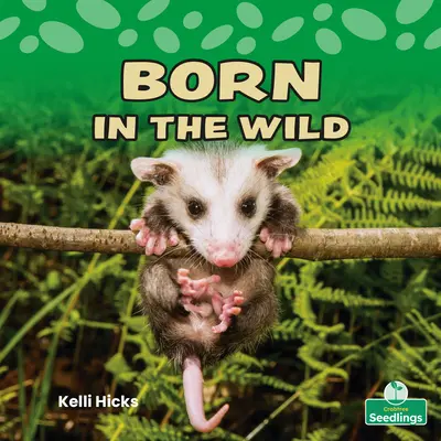 Born in the Wild (Zrozen v divočině) - Born in the Wild