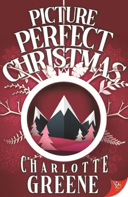 Obrázkové Vánoce - Picture-Perfect Christmas