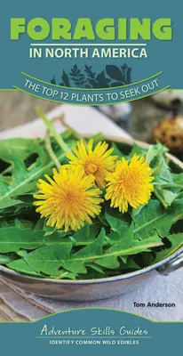Krmení v Severní Americe: 12 nejlepších rostlin, které je třeba vyhledávat - Foraging in North America: The Top 12 Plants to Seek Out