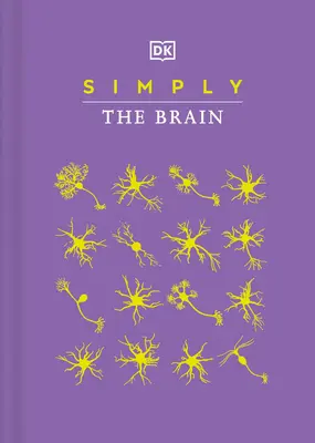 Prostě mozek - Simply the Brain
