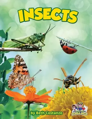 Hmyz - Insects