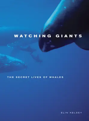 Pozorování obrů: Tajný život velryb - Watching Giants: The Secret Lives of Whales