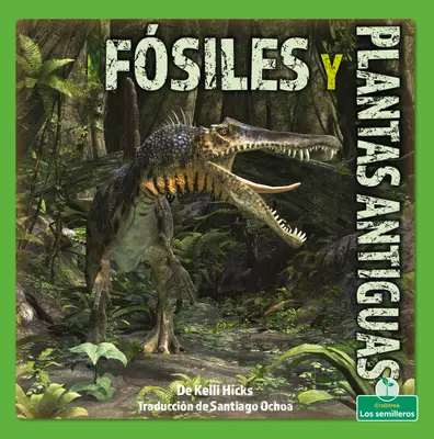Fsiles Y Plantas Antiguas (Zkameněliny a prastaré rostliny) - Fsiles Y Plantas Antiguas (Fossils and Ancient Plants)