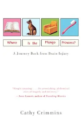 Kde je princezna Mango? Cesta zpět po úrazu mozku - Where Is the Mango Princess?: A Journey Back from Brain Injury