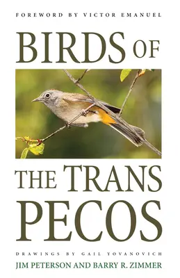 Ptáci Trans-Pecos - Birds of the Trans-Pecos