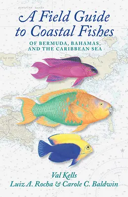 Terénní průvodce pobřežními rybami Bermud, Baham a Karibského moře - A Field Guide to Coastal Fishes of Bermuda, Bahamas, and the Caribbean Sea