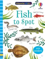 Ryby k rozpoznání - Fish to Spot